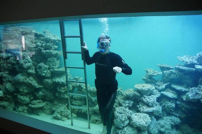 Самый большой домашний аквариум в мире позволяет нырять с аквалангом